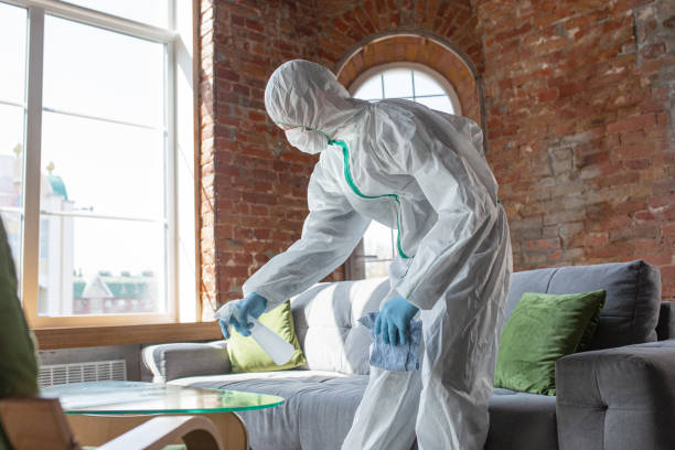 Mold Remediation for Vacation Homes in Okolona, MS